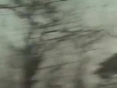 [OC] [BoTW] Found the last one