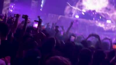 what have we done sf