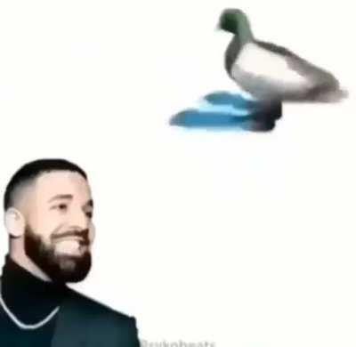 🦆➕👨🏿‍🎤🔄