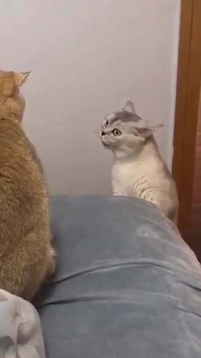 he is talking to a friend