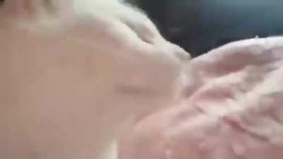 [Unknown > English] I need help. My friend sent me this dumb meme but the song is a bop, if someone could translate the lyrics or identify the song that'd be great.