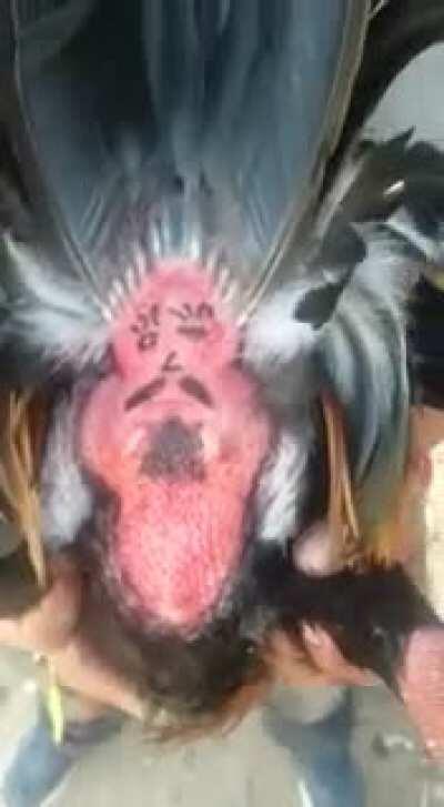 Губки бантиком, бровки домиком...