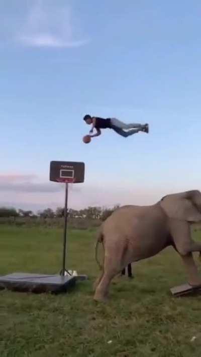 Elephant assisted trick shot