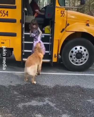 Dog carries child's backpack off the bus every day after school
