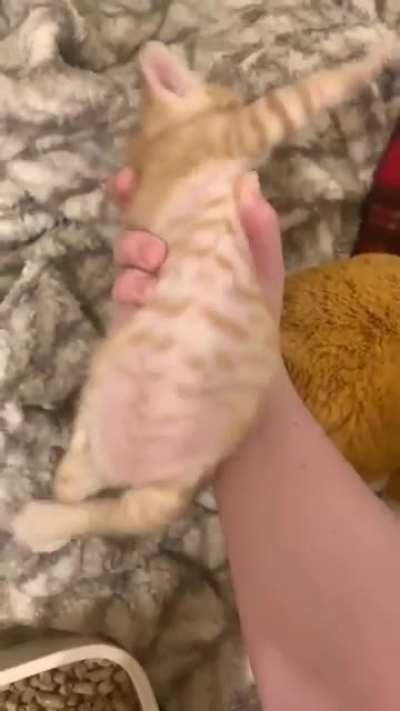 apologize at once 🥺