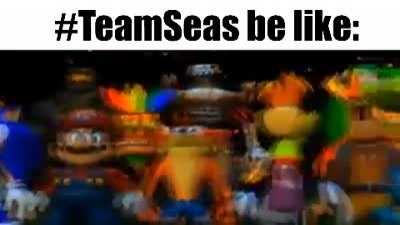 TeamSeas in a nutshell