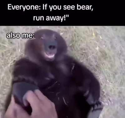 🇵🇱 people be like: 