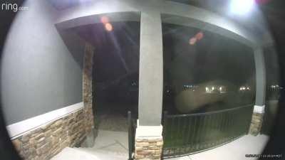 Just in time for Halloween 🎃 🕷