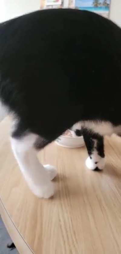 Your guess is as good as mine. He does this everytime he eats 😂 I have no idea why