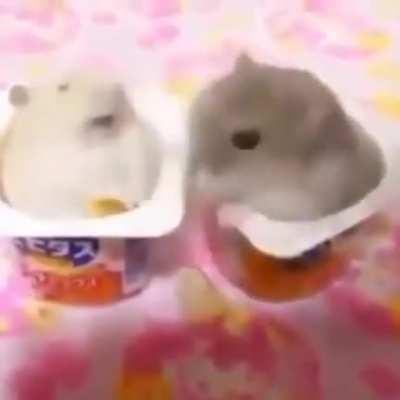 Every Single Fucking Time