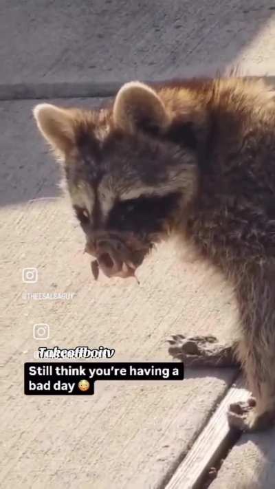 Nah someone needs to explain this