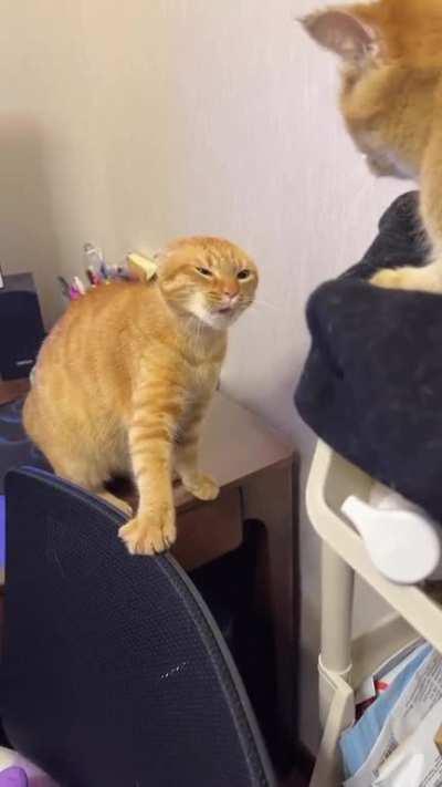 magestical fight oneo