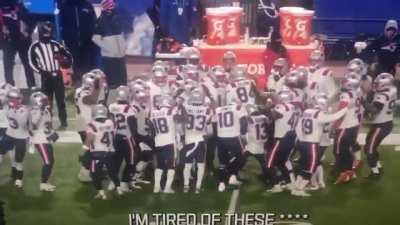 Apes getting jacked to finish off the shorts