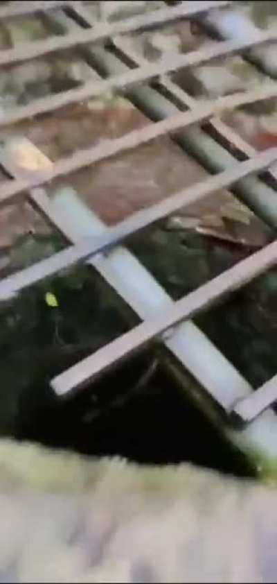 Spannende belevenissen tijdens de KEISDiest studies