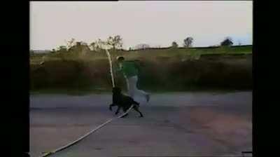 Giving the dog a garden hose.