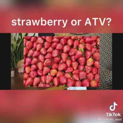 Hasbulla loves a strawberry! 🍓☝️