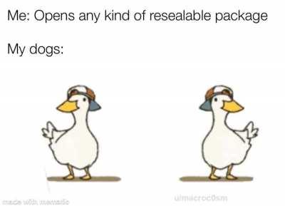 They do enjoy their snacks