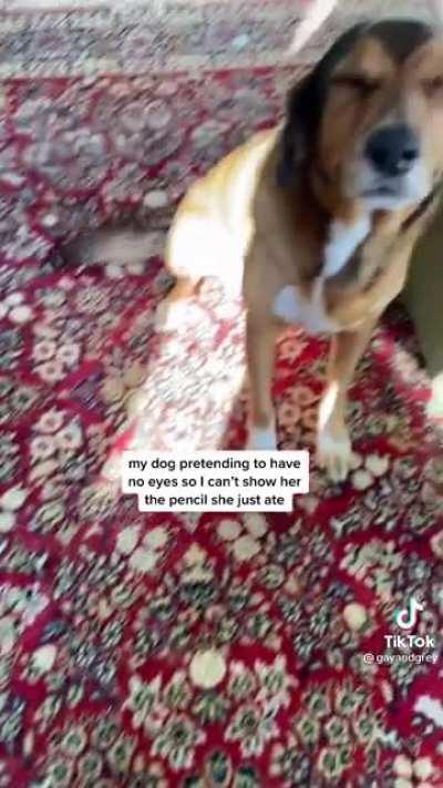 If I close my eyes you can’t see me