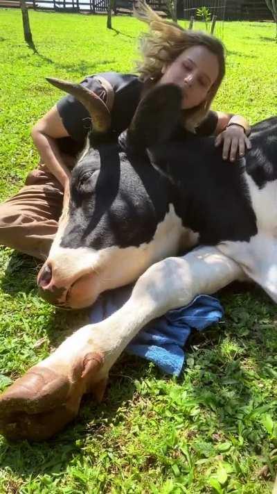 And yet we call dogs our best friends