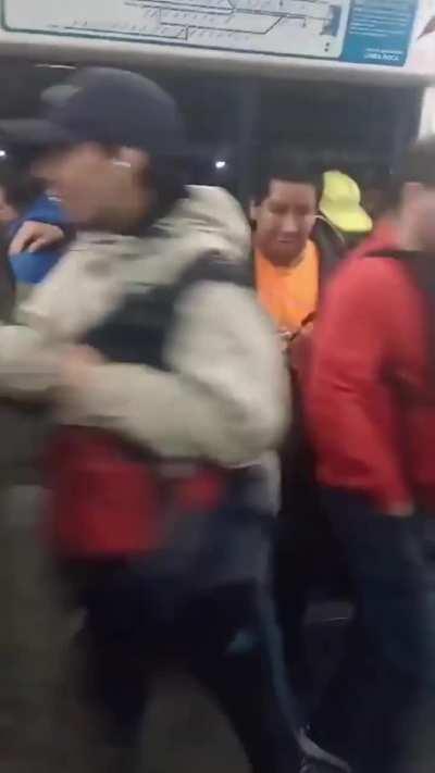 Así se viaja en el Tren Roca