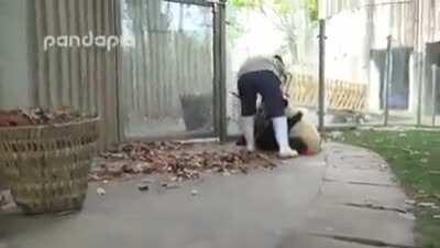 The poor woman! She done the job 100 times over!