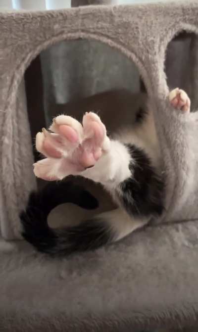 A perfect spready toe video doesn’t exi-