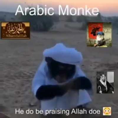 Arabic monke