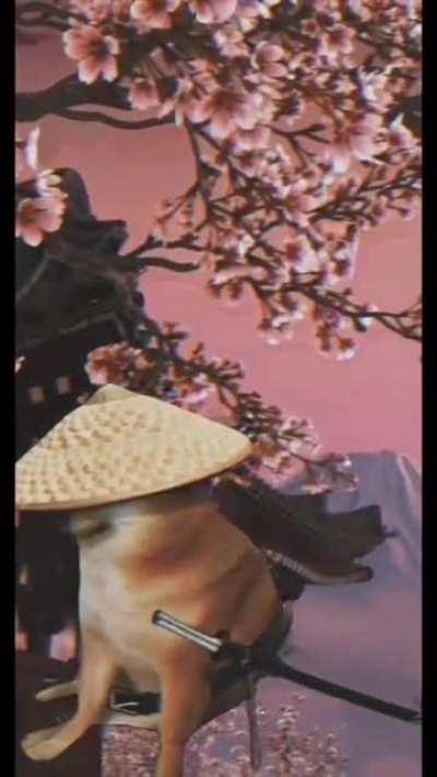 The best edit ever found on discorde