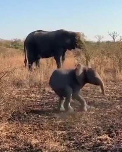 Cameraman got serious threat