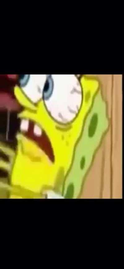 Spongebob shaking the dime out of Mr. Krabs’ pants scene (BUT IT’S THE GERMAN DUB)