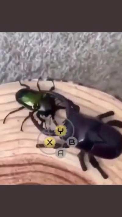 insert credit card to continue payment