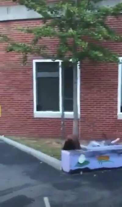 Guess what they broke