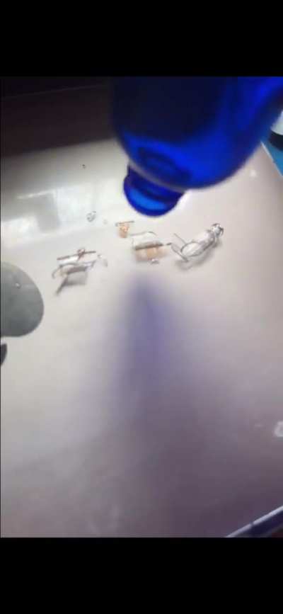 amazon review compilation pt 2 (bottles blankets and drawers) [4:17]