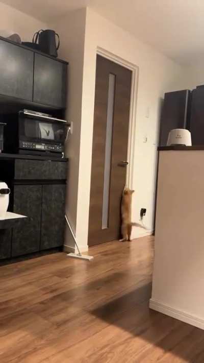 Not approved by orange