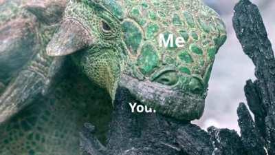 There's a shocking lack of Prehistoric Planet on this sub