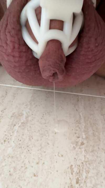 One month denied and it shows