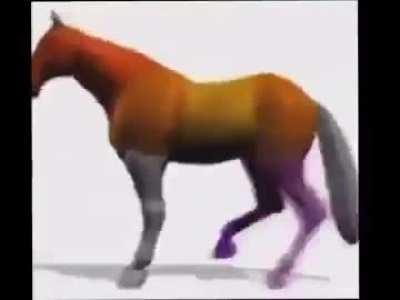 horse