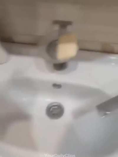 bro ate a whole plate 😂