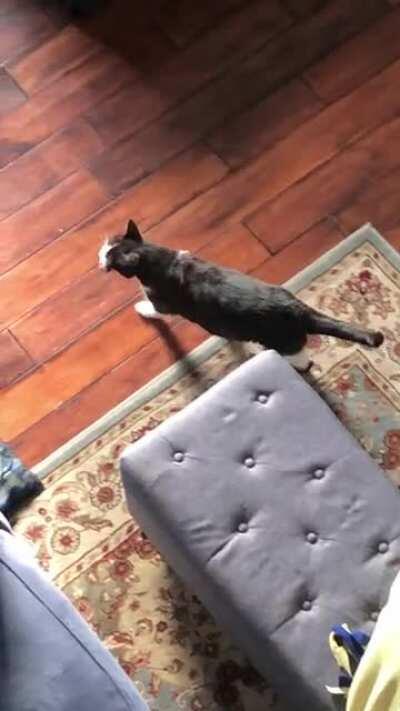 Mighty huntress announcing her prey has been captured