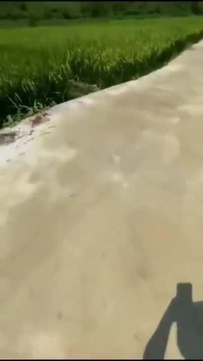 Trying to record inside a drain pipe