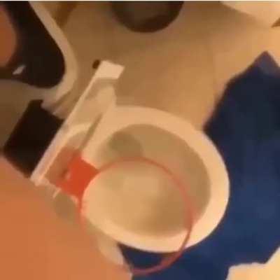 Im fucking dying rule