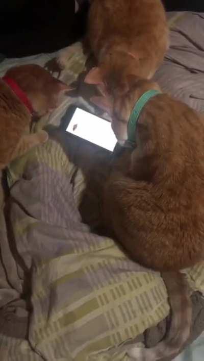 Okay kids, only a few minutes before bed