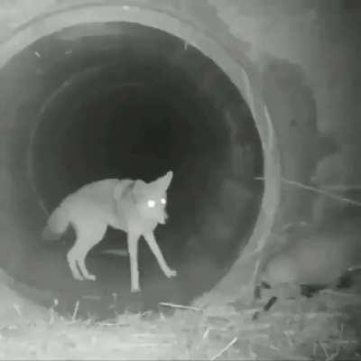 They’re best friends