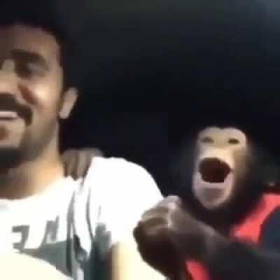 Greninja e mamaco narrando o cbloiro