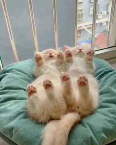 Good morning to everyone!