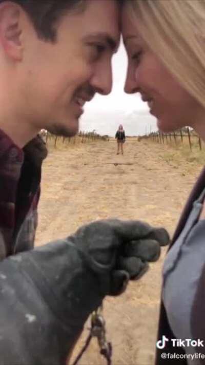 Falcon! (and there's a girl)