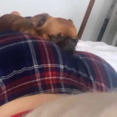 Le gros cul d'Angèle