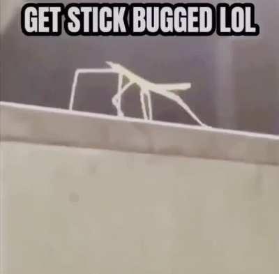 Get Stick Bugged²