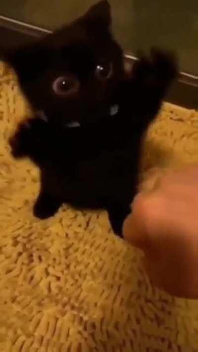 VoId WiTh EyEs TrIeS tO sWaLLoW MaN's HaNd