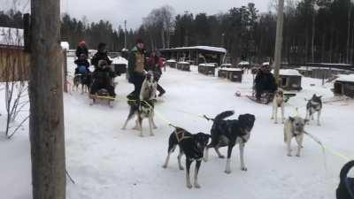 And we are off and running free